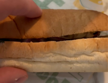 File:Subway Steak & Cheese actual received product.png
