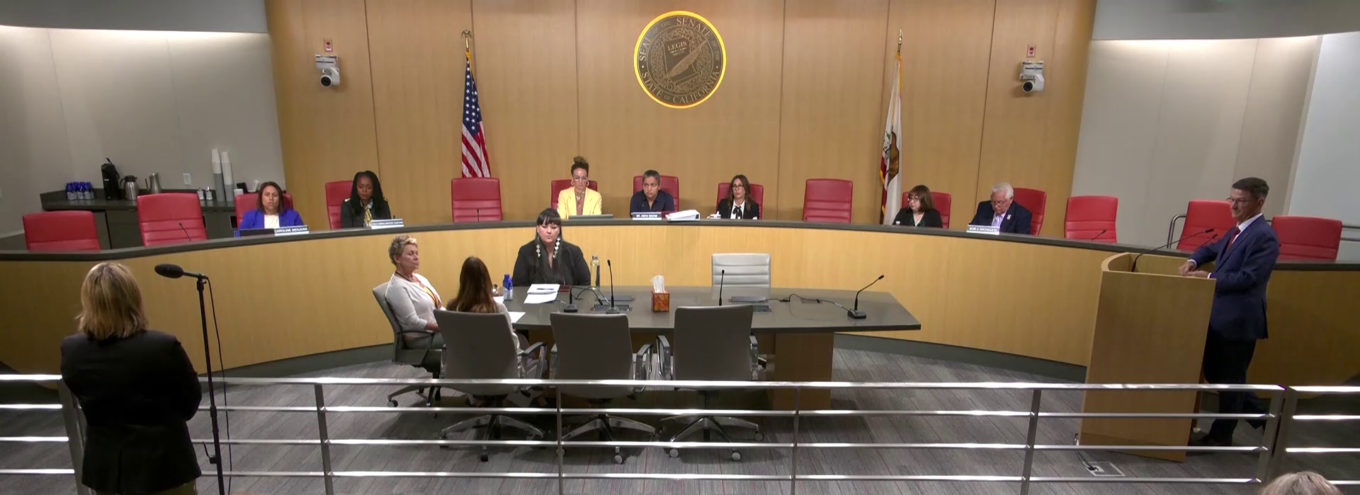 File:AB 1921 Senate committee hearing June 2026.png