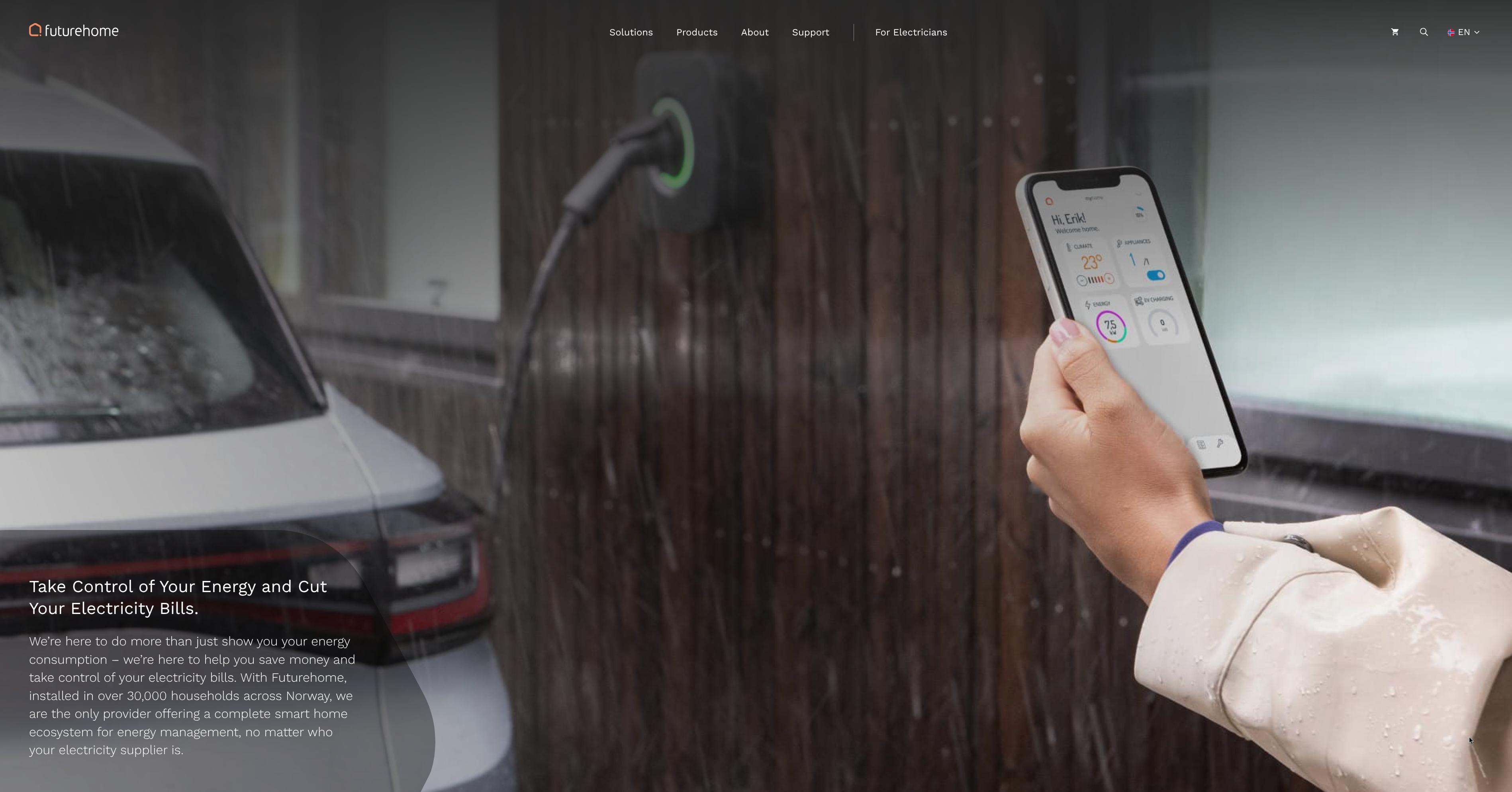 File:Futurehome website homepage.jpg