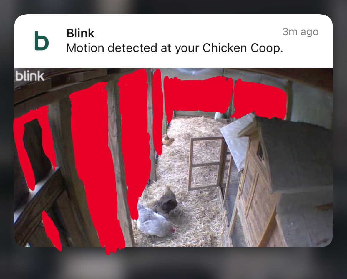 File:Blink Outdoor 3 notification.jpg