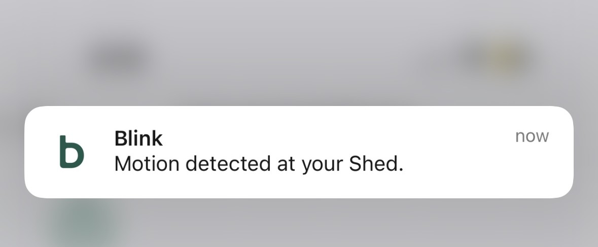 File:Blink Outdoor 4 notification.jpg