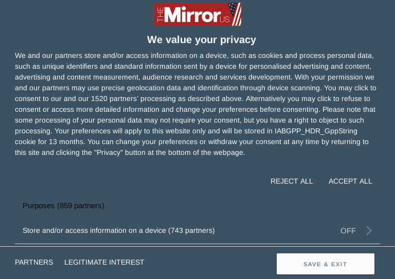 File:The Mirror US cookie page.png